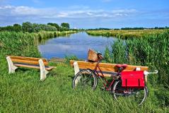 El Corazón Verde de Holanda en bici