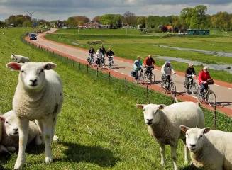 Viajes en bici por Holanda
