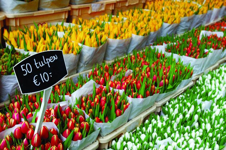 Mercado de las Flores de Amsterdam