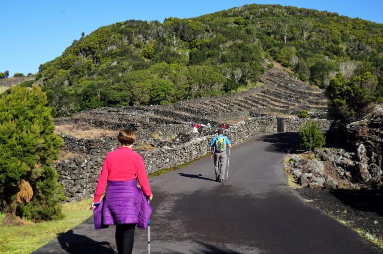 Senderistas atravesando zona de viñedos en Azores