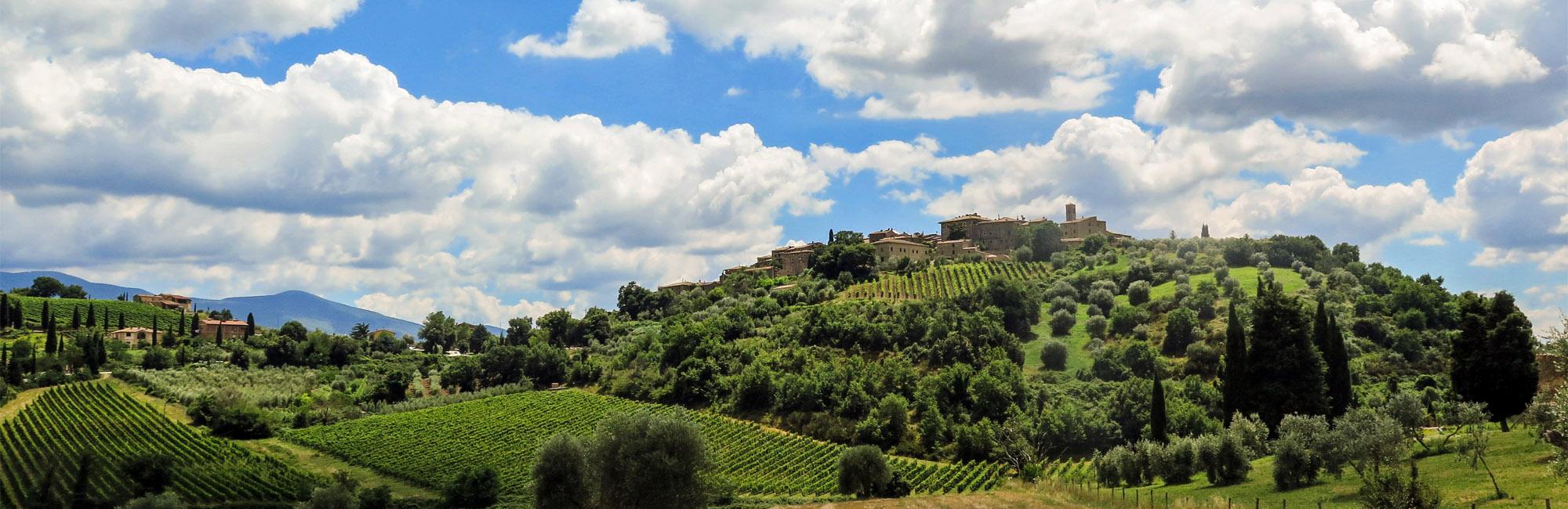 Paisaje de viñedos de La Toscana