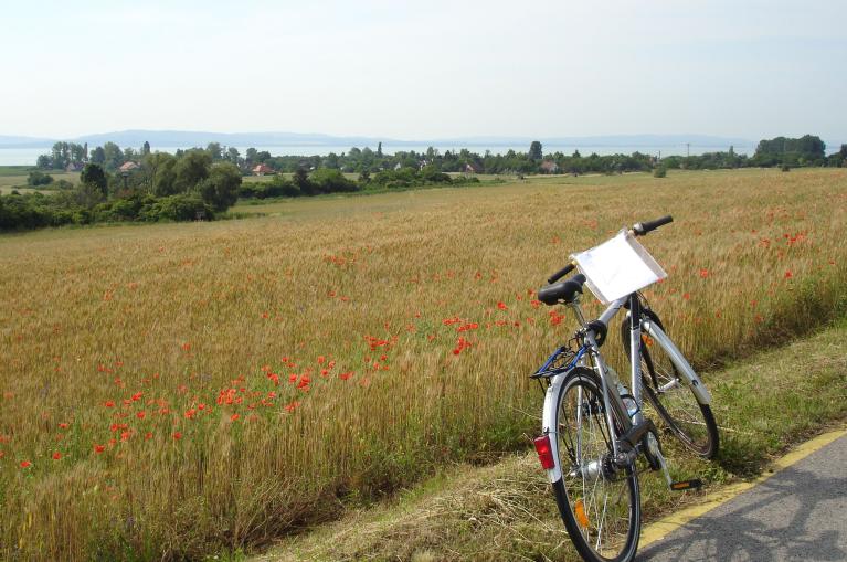 Paisaje y bicicleta en Hungría