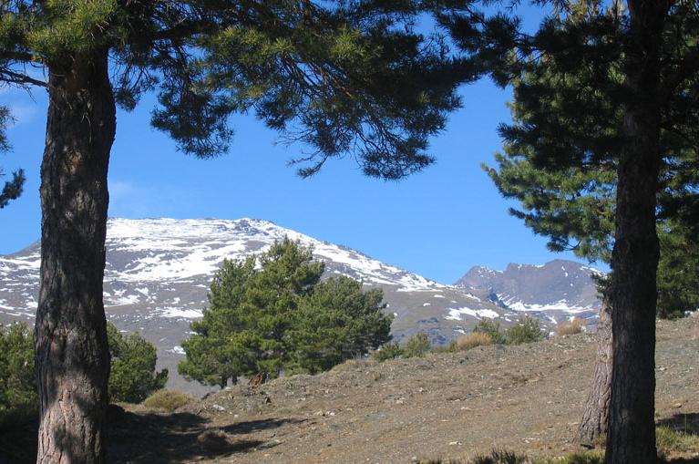 paisaje Alpujarras