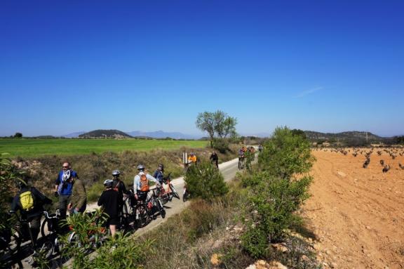 Grupo de ciclistas en Murcia