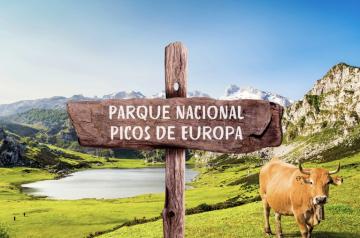 Picos de Europa