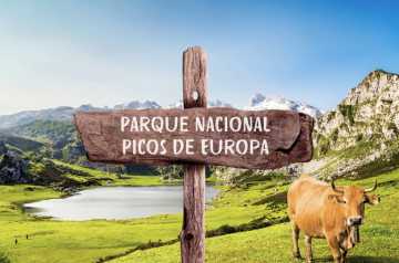 Picos de Europa