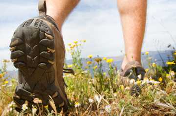 Botas de montaña entre flores