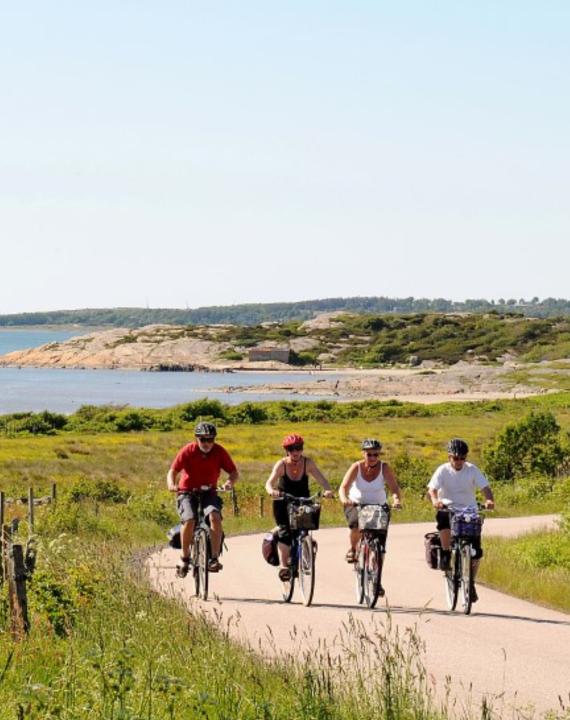 Grupo de ciclistas en Suecia