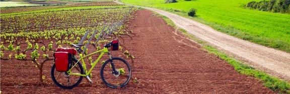 Bicicleta en un viñedo de La Rioja