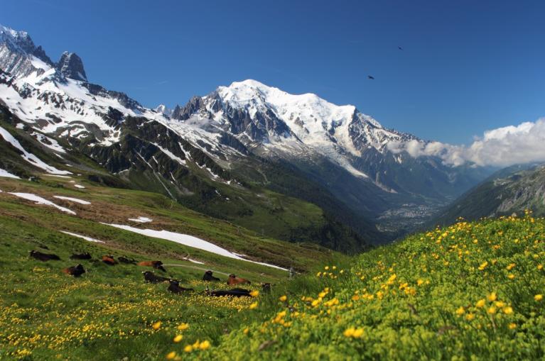 Paisaje Tour Mont Blanc