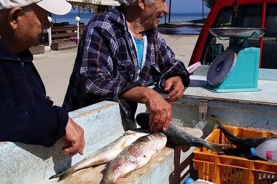 Corfu puerto pesquero