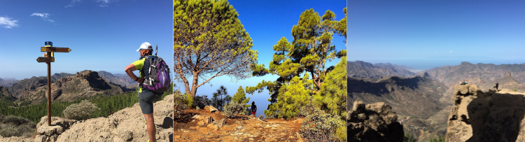 3 fotografías de Gran Canaria