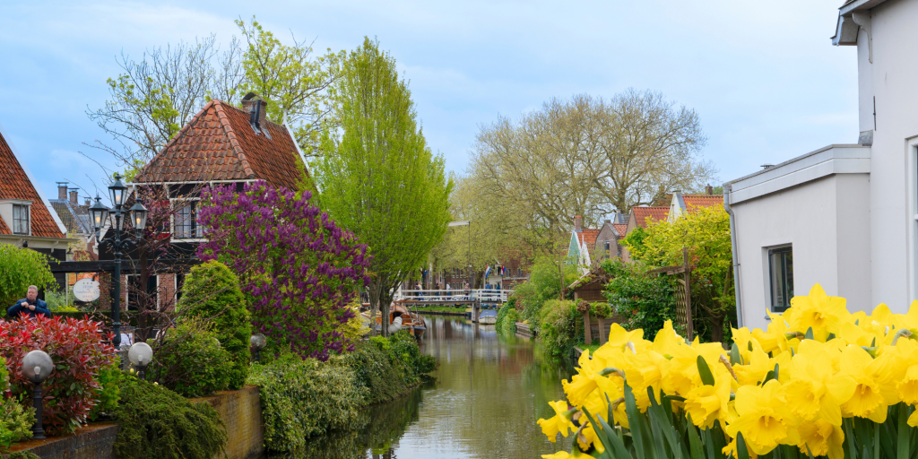 Rincon bonito de Edam, con canal entre casas y flores
