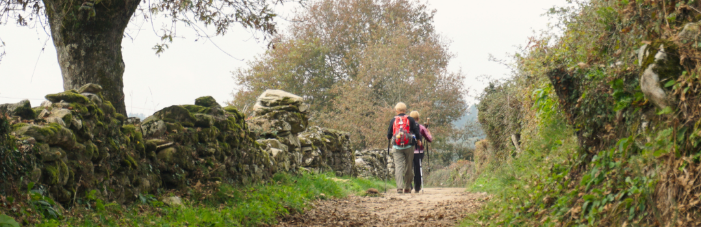 Pilgrims on the Camino Frances 