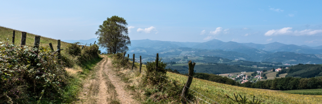 Paisaje Camino Primitivo en Asturias