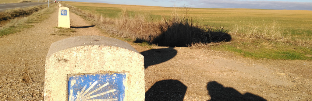 Señales Camino Francés