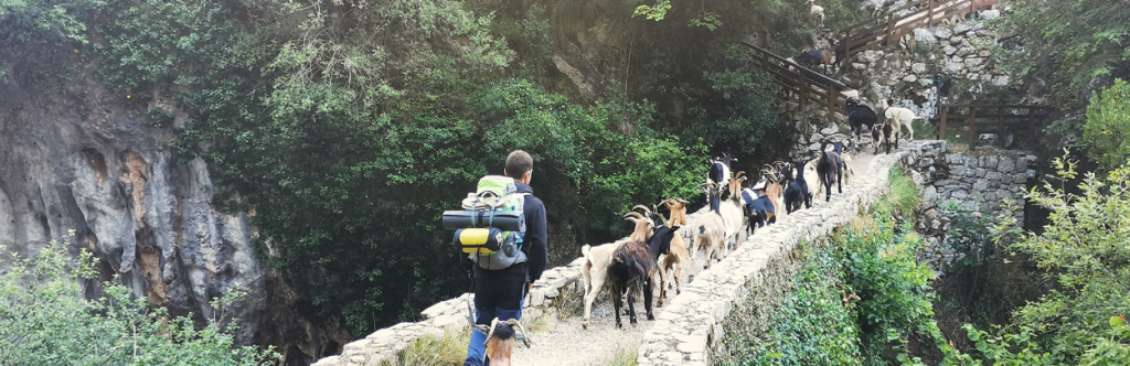 Ruta a Bulnes por Canal del Texu