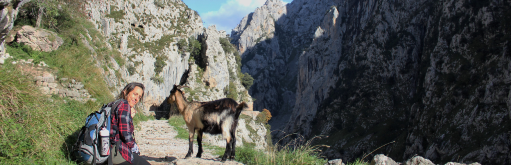 Senderista y cabra en la Ruta del Cares