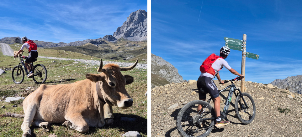 Ciclista en el valle de &Aacute;liva, Picos de Europa