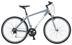 Hybrid Rental Bike