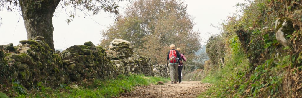 Pilgrims on the Camino Frances 