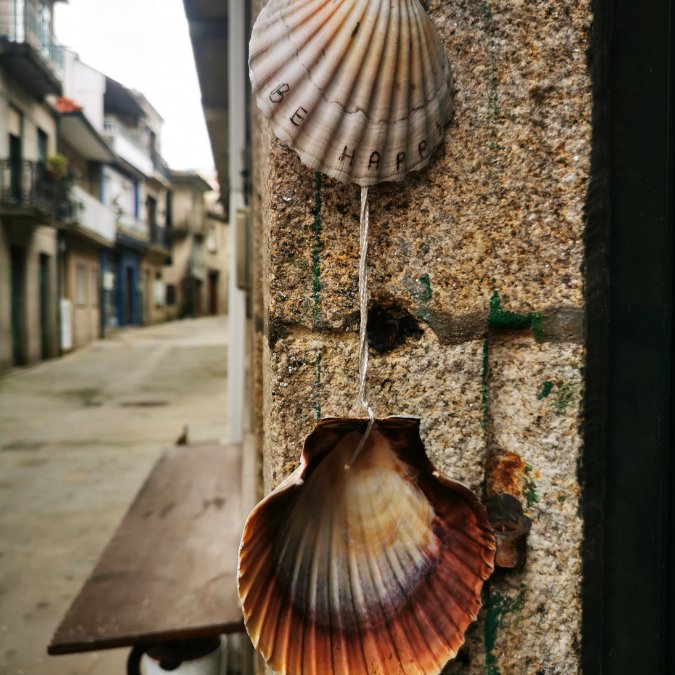 caminoss (4)
