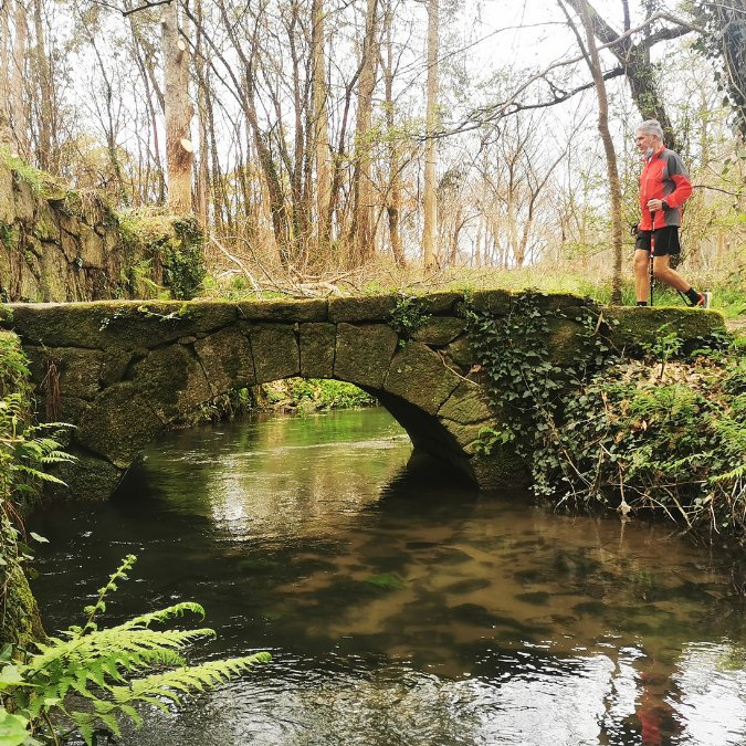 caminoss (5)