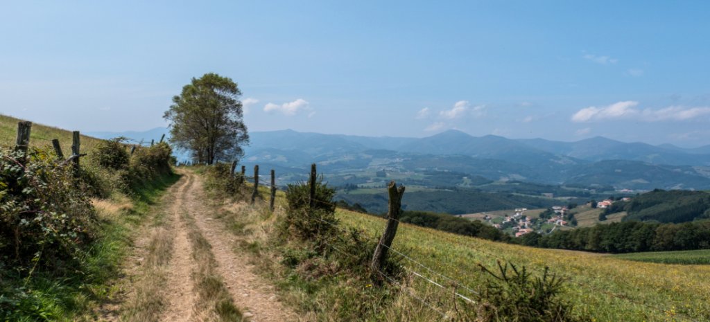Pista del Camino Primitivo cruzando un valle verde